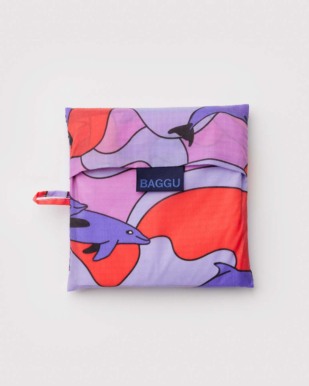 Dolphins Big BAGGU