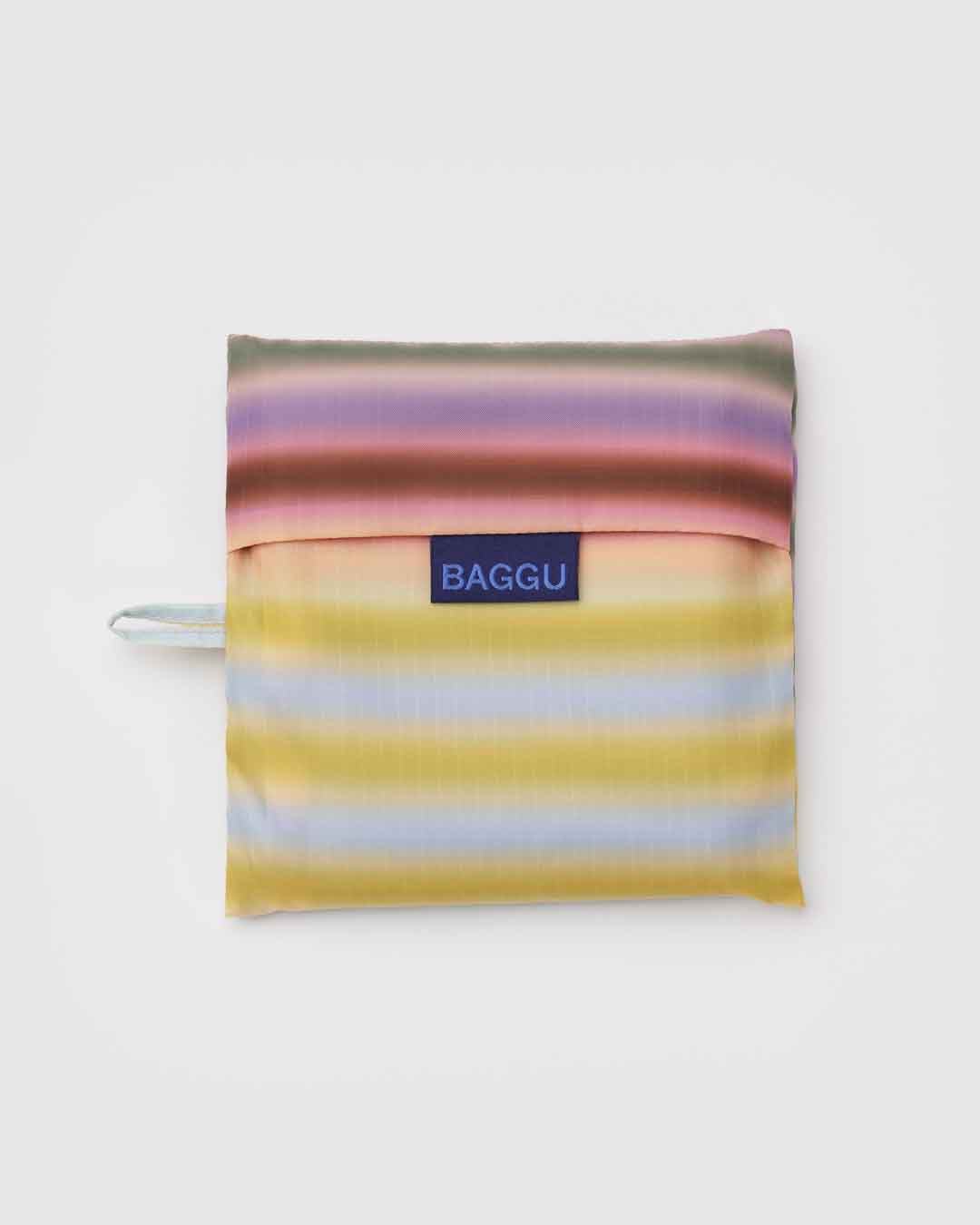 Gradient Stripe Multi Big Baggu