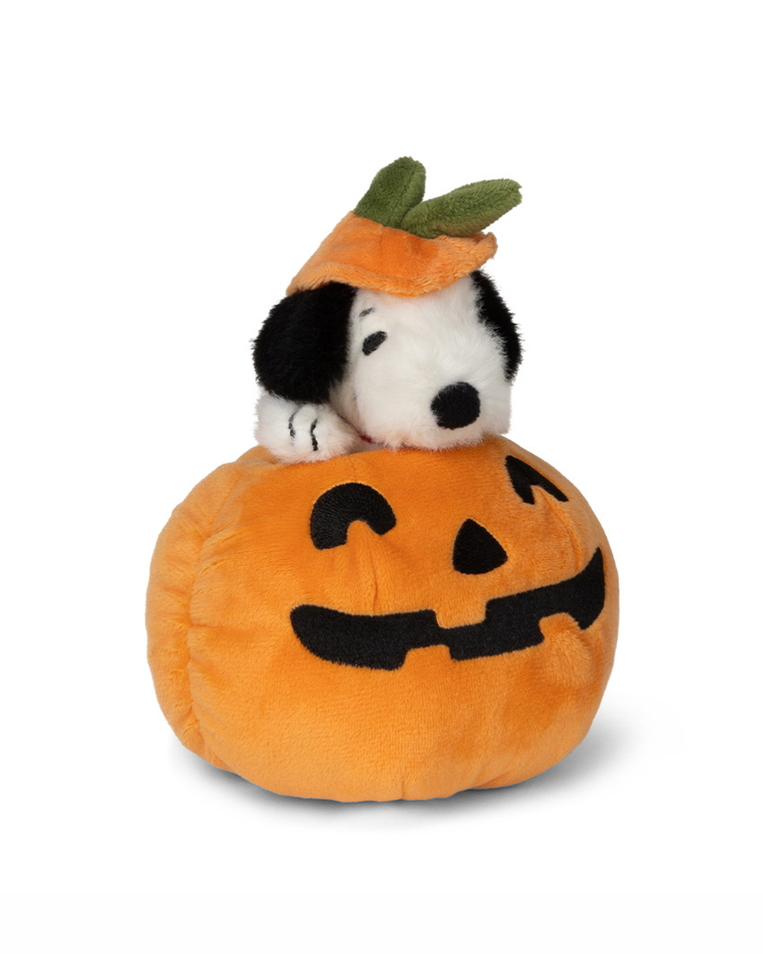 Snoopy Halloween in Pumpkin