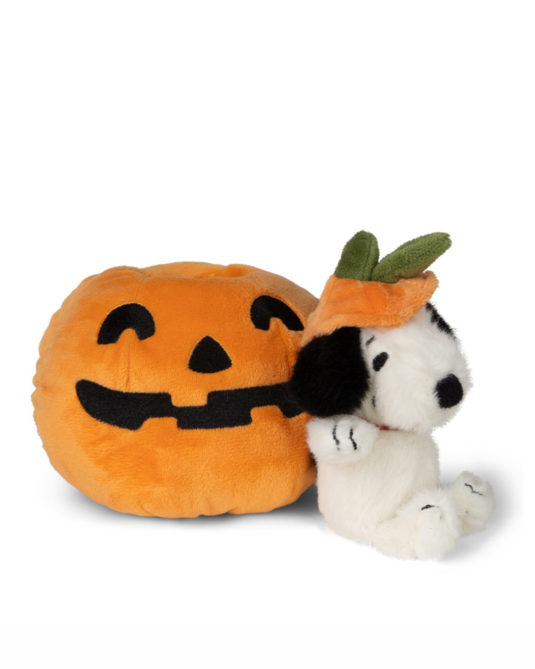 Snoopy Halloween in Pumpkin