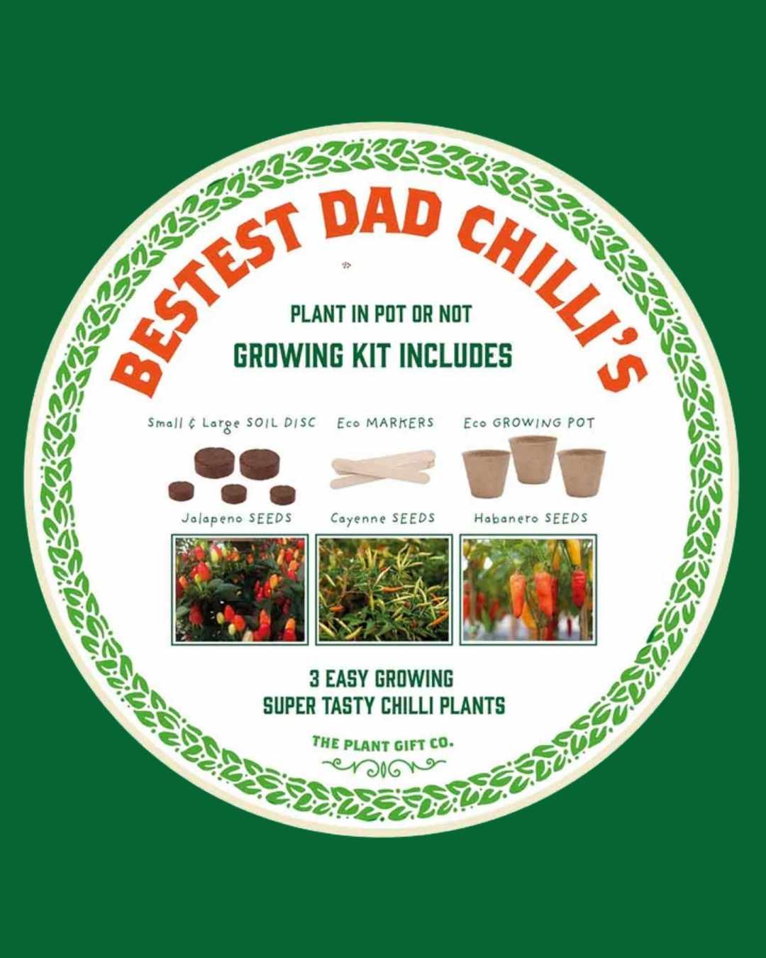 N.1 Dad - Flower Growing Kit