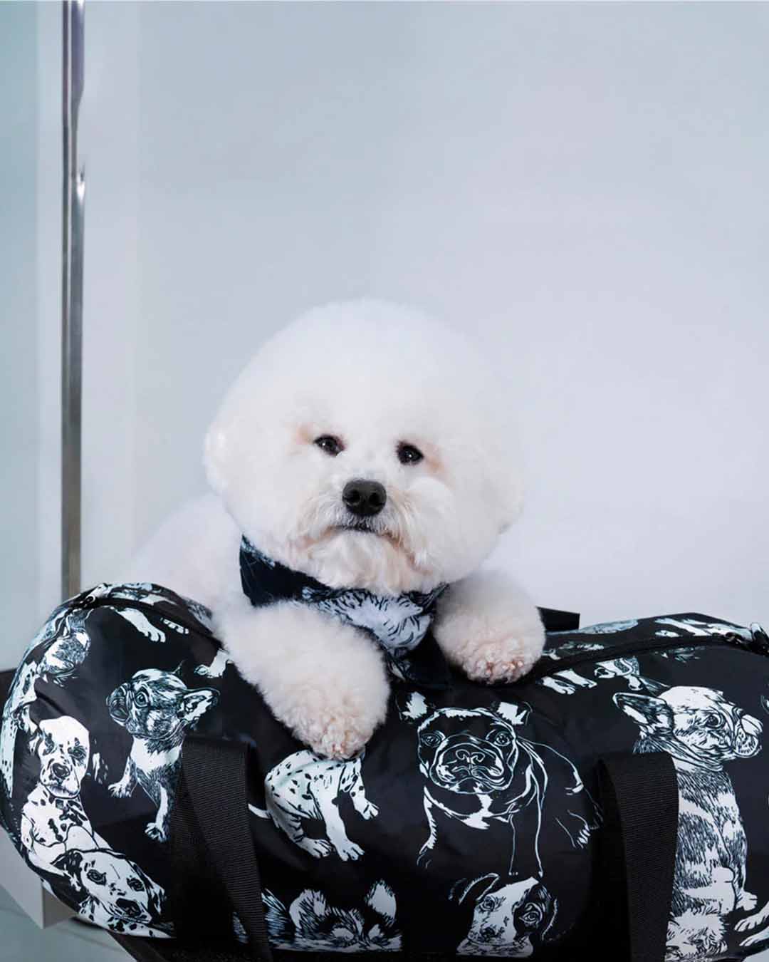 LOQI | Dogs by Red POPPY BEE Recycled Weekender Holdall Bag | Travel + Overnight Bag