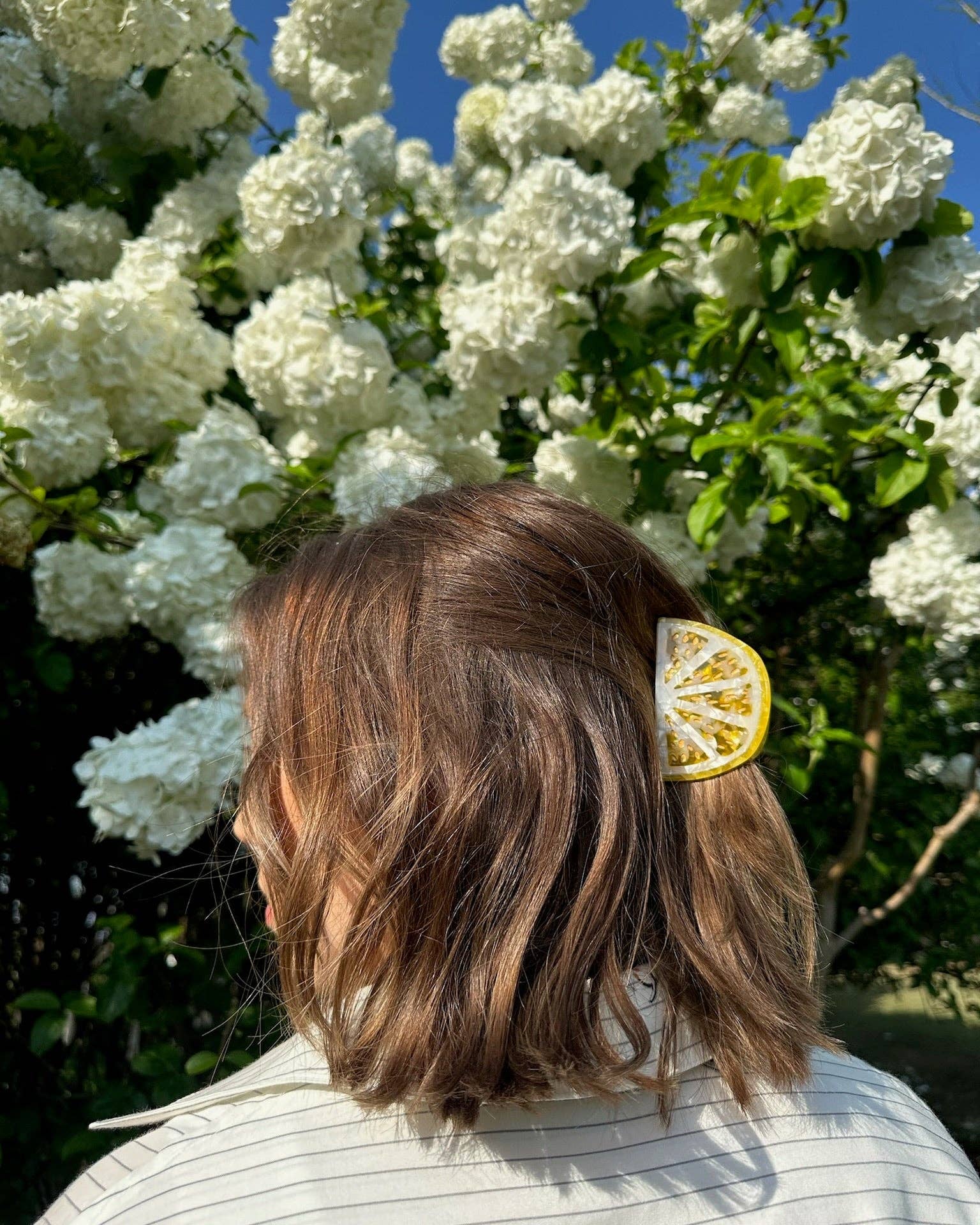 Hand-painted Citrus Slice Fruit Claw Hair Clip | Solar Eclipse | Hair Accessories