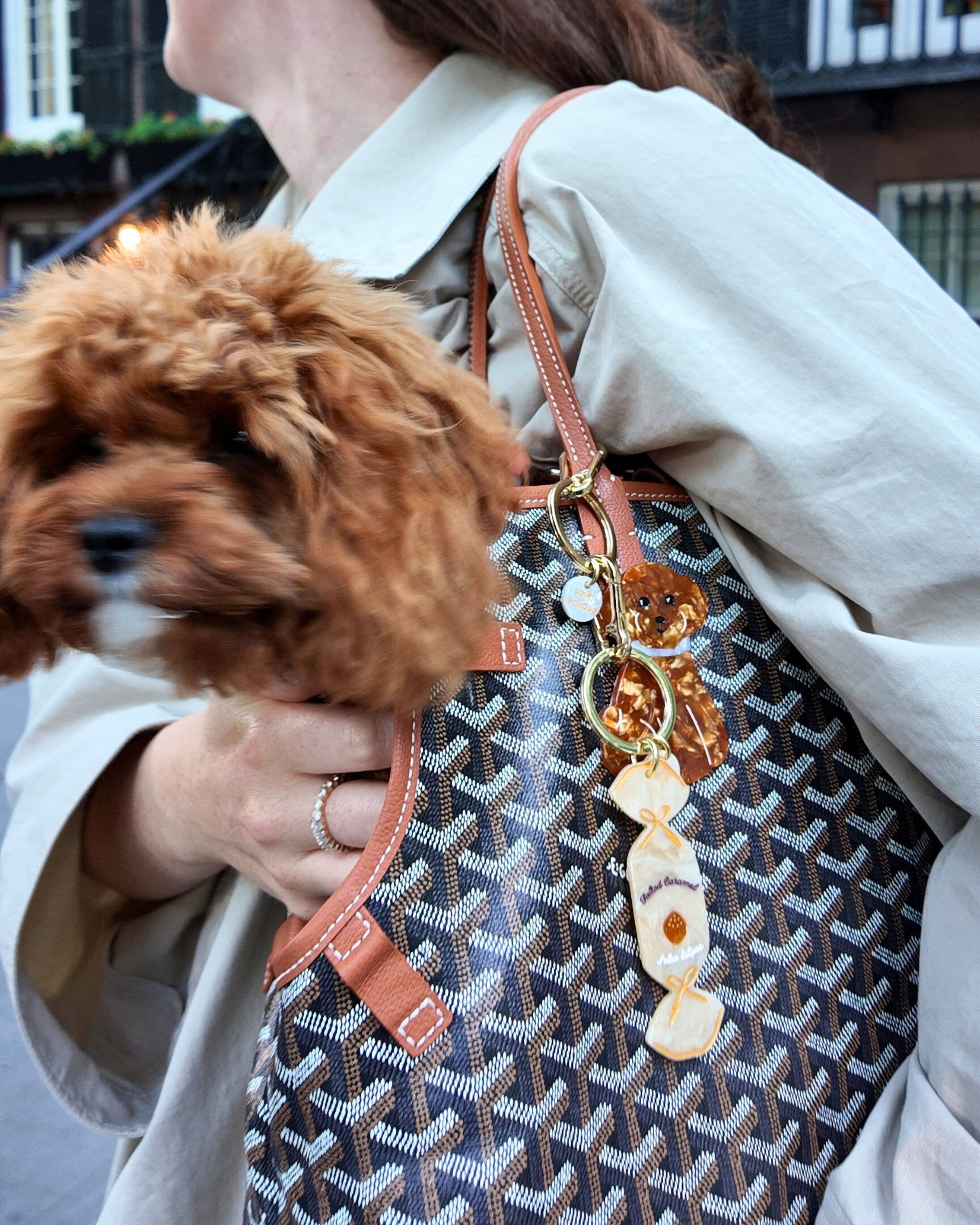 Brown Hand-painted Doodle Puppy Bag Charm + Keychain | Solar Eclipse | Bag Charm
