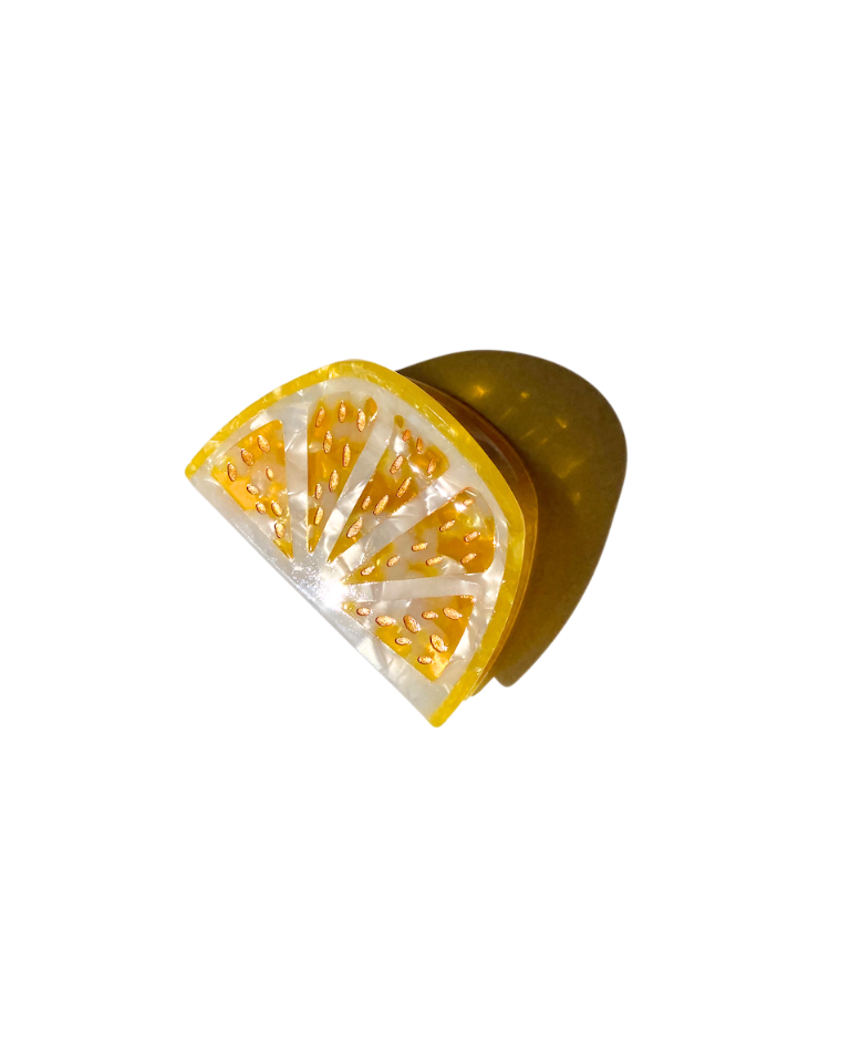 Hand-painted Citrus Slice Fruit Claw Hair Clip | Solar Eclipse | Hair Accessories