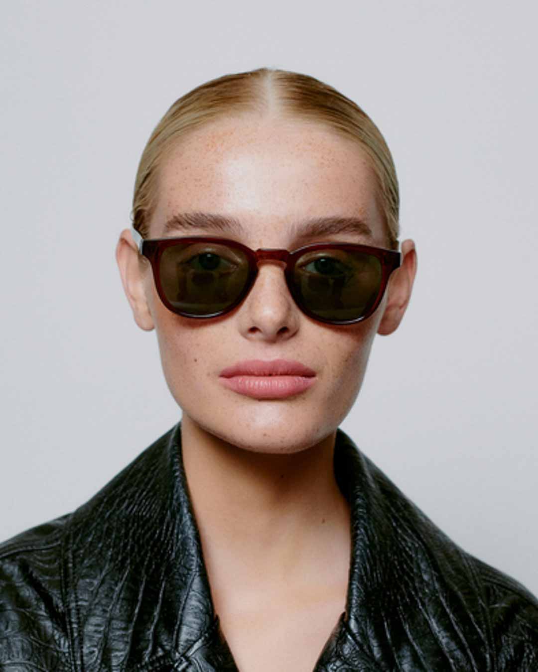 Brown Transparent Bate Sunglasses