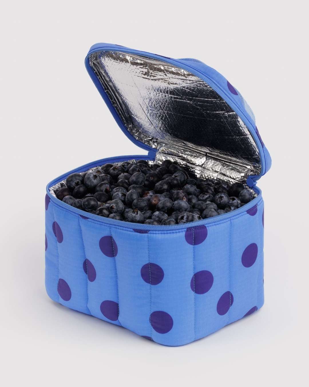 Blue Polka Dot Puffy Lunch Bag