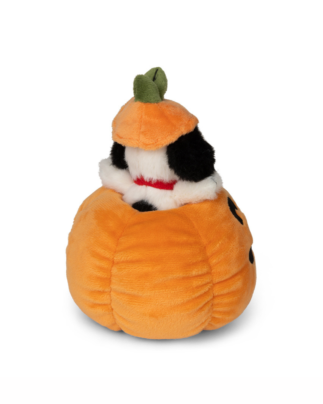 Snoopy Halloween in Pumpkin