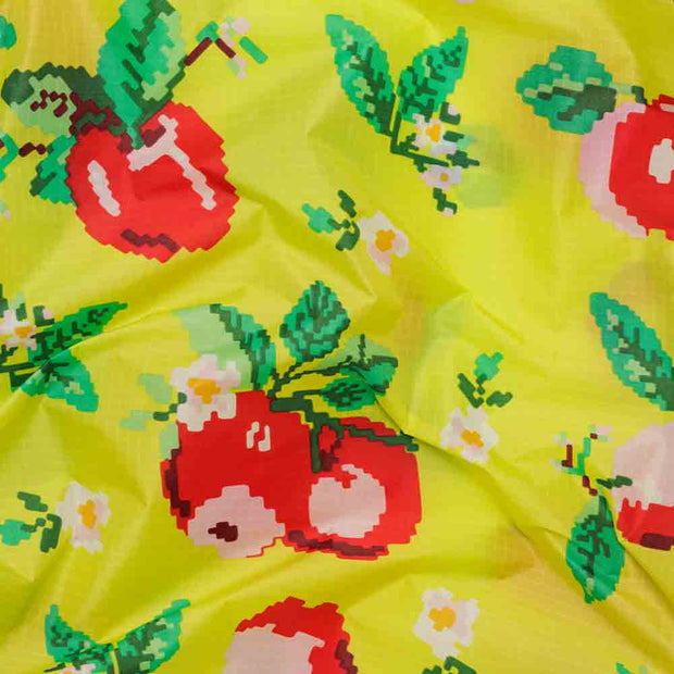 Needlepoint Apple | Reusable Bag | Standard Baggu