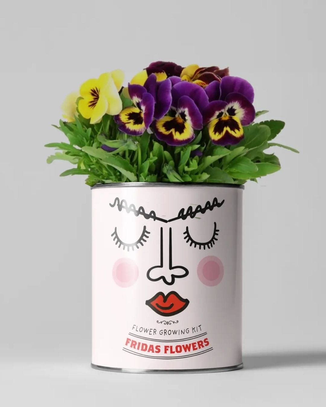 Frida's Flowers - Flower Growing Kit