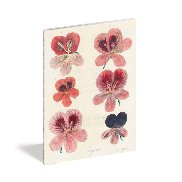 John Derian Notebooks - In The Garden (Three Pack)