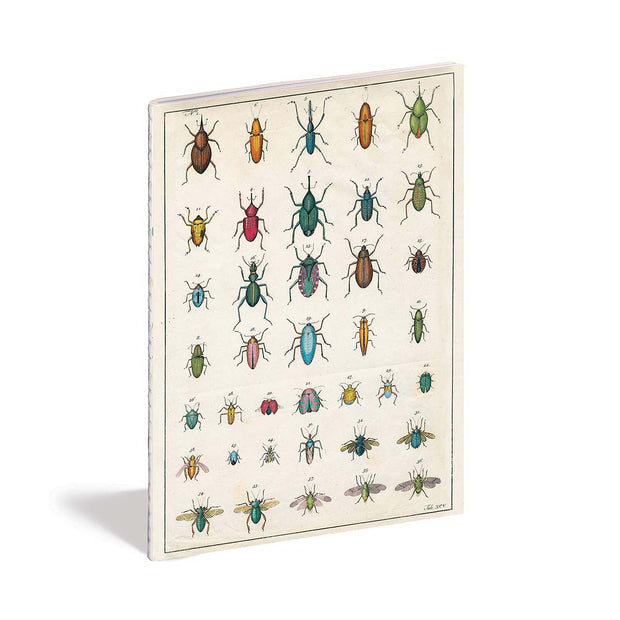 John Derian Notebooks - In The Garden (Three Pack)